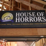 Home Inspection House of Horrors